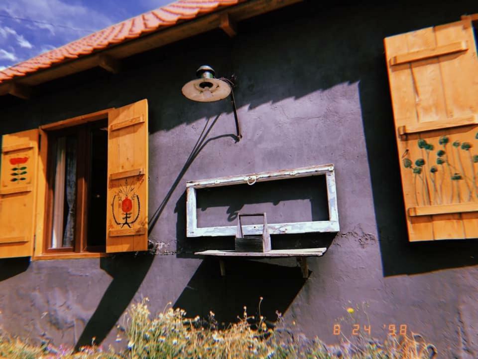 ホテル Sno House In Kazbeg エクステリア 写真